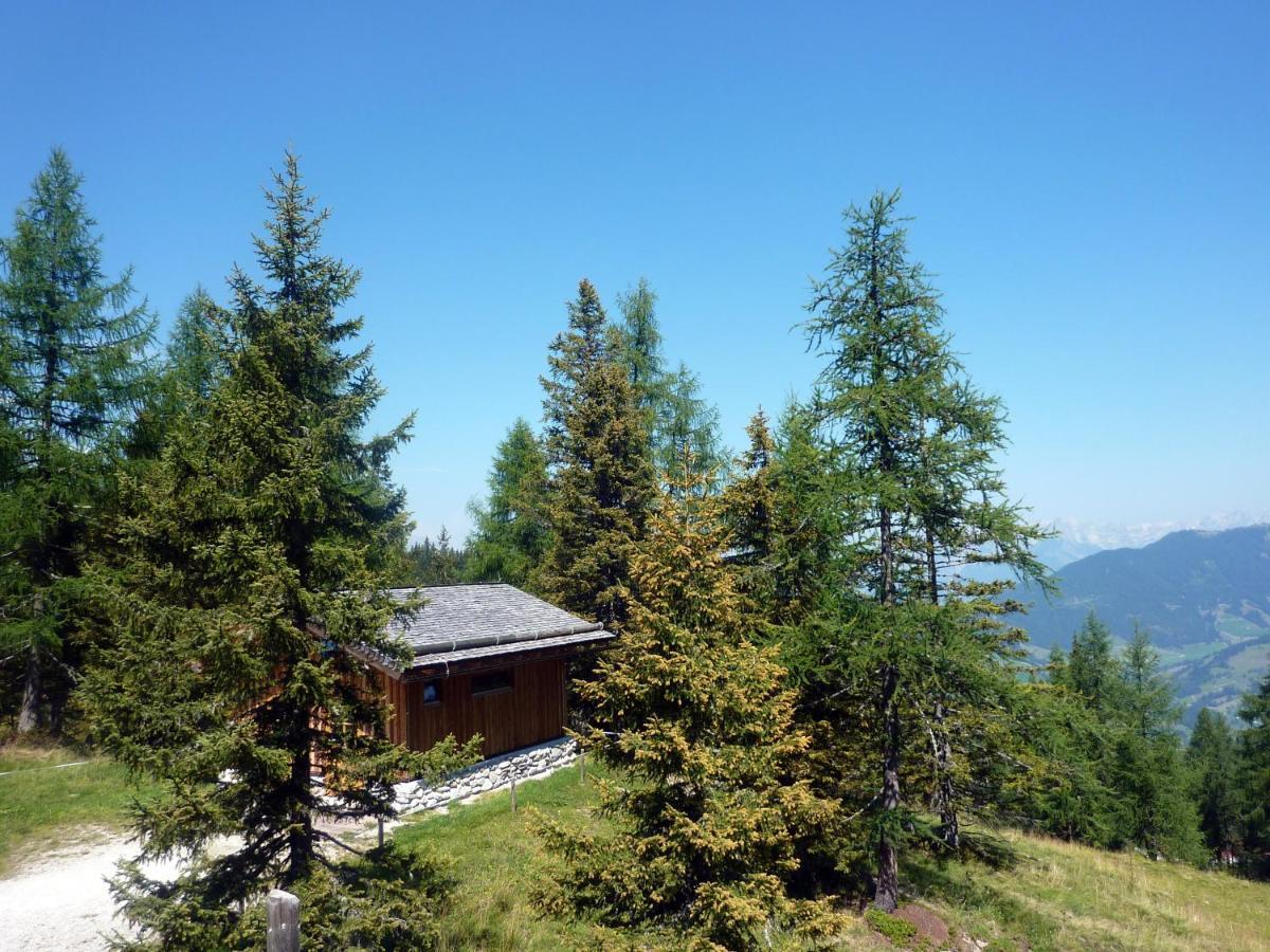 Haus Daniel Schartner Apartment Kleinarl Bagian luar foto
